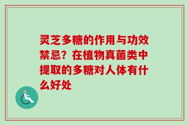 灵芝多糖的作用与功效禁忌?在植物真菌类中提取的多糖对人体有什么好处-第1张图片-卓越灵芝孢子粉 灵芝多糖的作用与功效禁忌?在植物真菌类中提取的多糖对人体有什么好处-第1张图片-卓越灵芝孢子粉