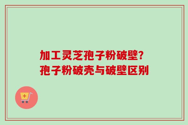 加工灵芝孢子粉破壁？孢子粉破壳与破壁区别-第1张图片-卓越灵芝孢子粉