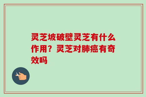 灵芝坡破壁灵芝有什么作用?灵芝对肺癌有奇效吗-第1张图片-卓越灵芝孢子粉 灵芝坡破壁灵芝有什么作用?灵芝对肺癌有奇效吗-第1张图片-卓越灵芝孢子粉