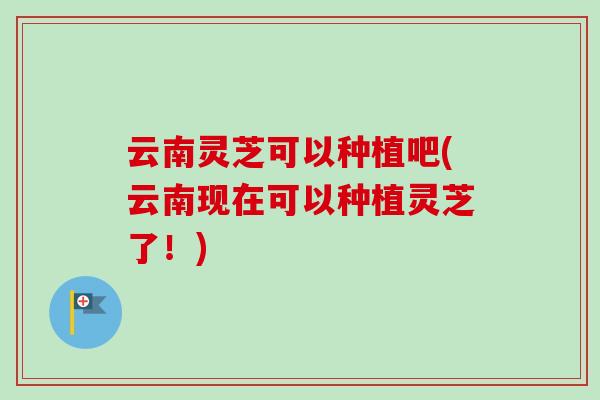云南灵芝可以种植吧(云南现在可以种植灵芝了!)-第1张图片-卓越灵芝孢子粉 云南灵芝可以种植吧(云南现在可以种植灵芝了!)-第1张图片-卓越灵芝孢子粉
