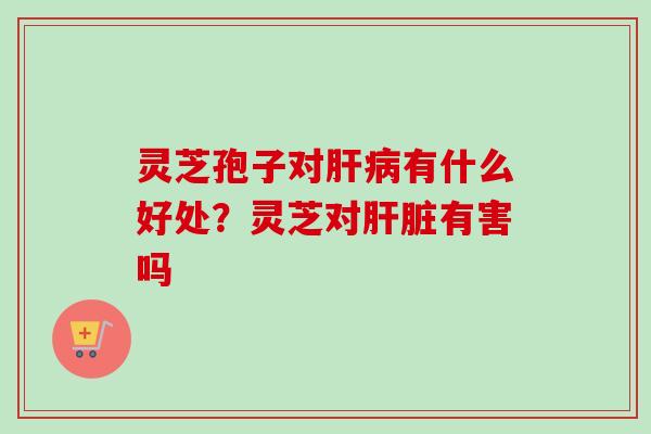 灵芝孢子对肝病有什么好处?灵芝对肝脏有害吗-第1张图片-卓越灵芝孢子粉 灵芝孢子对肝病有什么好处?灵芝对肝脏有害吗-第1张图片-卓越灵芝孢子粉