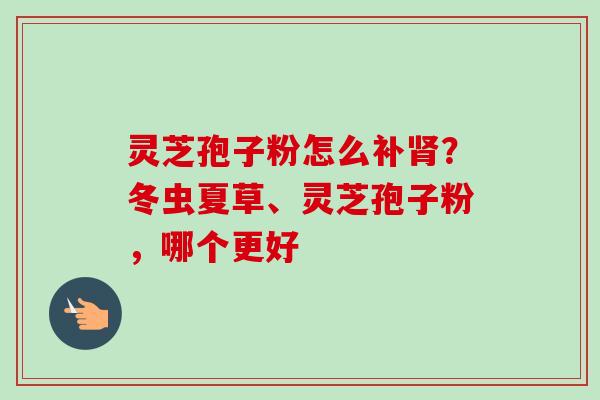 灵芝孢子粉怎么补肾?冬虫夏草、灵芝孢子粉,哪个更好-第1张图片-卓越灵芝孢子粉 灵芝孢子粉怎么补肾?冬虫夏草、灵芝孢子粉,哪个更好-第1张图片-卓越灵芝孢子粉