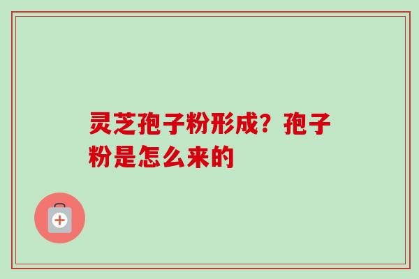 灵芝孢子粉形成？孢子粉是怎么来的-第1张图片-卓越灵芝孢子粉