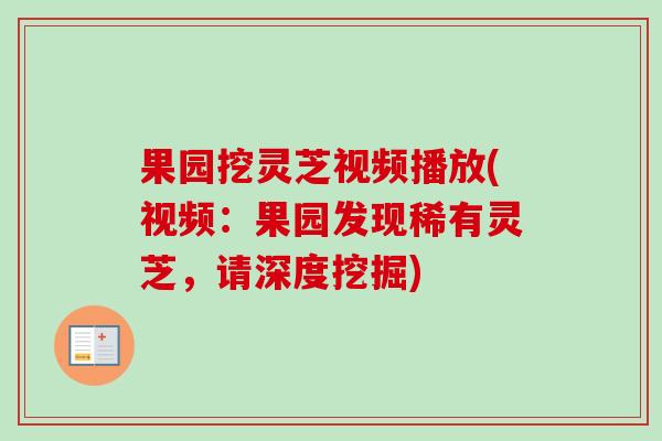 果园挖灵芝视频播放(视频：果园发现稀有灵芝，请深度挖掘)-第1张图片-卓越灵芝孢子粉