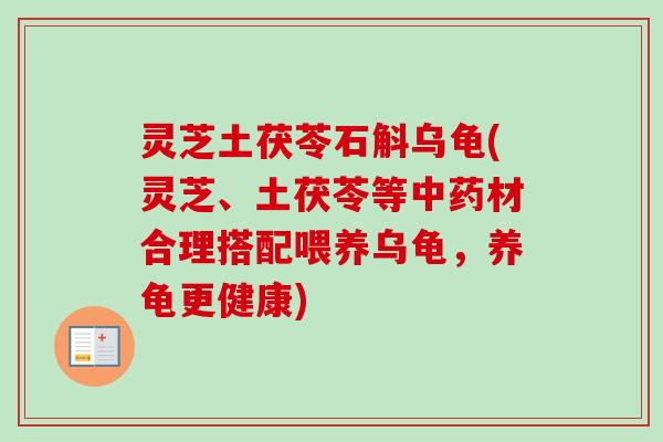 灵芝土茯苓石斛乌龟(灵芝、土茯苓等中药材合理搭配喂养乌龟，养龟更健康)-第1张图片-卓越灵芝孢子粉