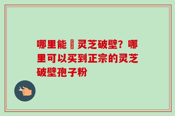 哪里能給灵芝破壁?哪里可以买到正宗的灵芝破壁孢子粉-第1张图片-卓越灵芝孢子粉 哪里能給灵芝破壁?哪里可以买到正宗的灵芝破壁孢子粉-第1张图片-卓越灵芝孢子粉