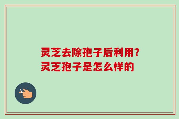 灵芝去除孢子后利用?灵芝孢子是怎么样的-第1张图片-卓越灵芝孢子粉 灵芝去除孢子后利用?灵芝孢子是怎么样的-第1张图片-卓越灵芝孢子粉
