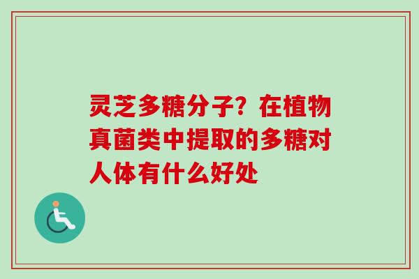 灵芝多糖分子?在植物真菌类中提取的多糖对人体有什么好处-第1张图片-卓越灵芝孢子粉 灵芝多糖分子?在植物真菌类中提取的多糖对人体有什么好处-第1张图片-卓越灵芝孢子粉