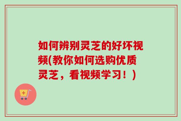 如何辨别灵芝的好坏视频(教你如何选购优质灵芝,看视频学习!)-第1张图片-卓越灵芝孢子粉 如何辨别灵芝的好坏视频(教你如何选购优质灵芝,看视频学习!)-第1张图片-卓越灵芝孢子粉