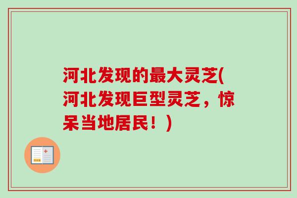 河北发现的最大灵芝(河北发现巨型灵芝,惊呆当地居民!)-第1张图片-卓越灵芝孢子粉 河北发现的最大灵芝(河北发现巨型灵芝,惊呆当地居民!)-第1张图片-卓越灵芝孢子粉