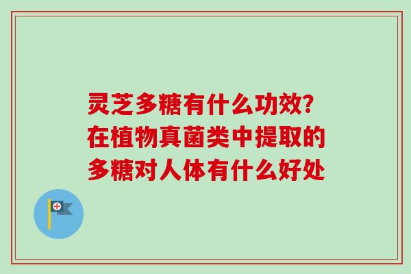灵芝多糖有什么功效?在植物真菌类中提取的多糖对人体有什么好处-第1张图片-卓越灵芝孢子粉 灵芝多糖有什么功效?在植物真菌类中提取的多糖对人体有什么好处-第1张图片-卓越灵芝孢子粉