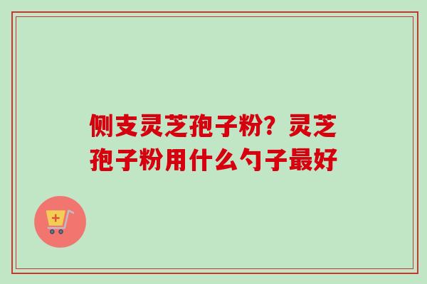侧支灵芝孢子粉?灵芝孢子粉用什么勺子最好-第1张图片-卓越灵芝孢子粉 侧支灵芝孢子粉?灵芝孢子粉用什么勺子最好-第1张图片-卓越灵芝孢子粉