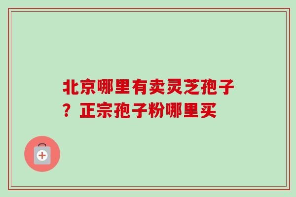北京哪里有卖灵芝孢子?正宗孢子粉哪里买-第1张图片-卓越灵芝孢子粉 北京哪里有卖灵芝孢子?正宗孢子粉哪里买-第1张图片-卓越灵芝孢子粉