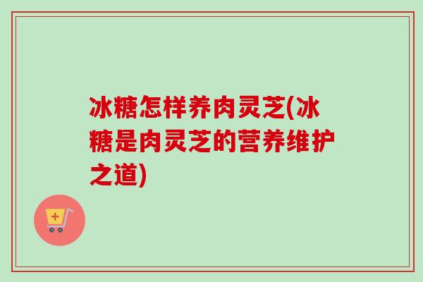 冰糖怎样养肉灵芝(冰糖是肉灵芝的营养维护之道)-第1张图片-卓越灵芝孢子粉 冰糖怎样养肉灵芝(冰糖是肉灵芝的营养维护之道)-第1张图片-卓越灵芝孢子粉