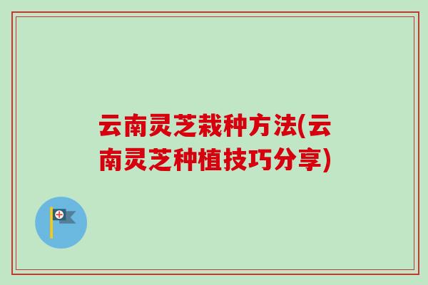云南灵芝栽种方法(云南灵芝种植技巧分享)-第1张图片-卓越灵芝孢子粉 云南灵芝栽种方法(云南灵芝种植技巧分享)-第1张图片-卓越灵芝孢子粉