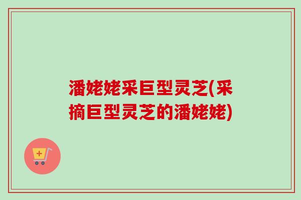 潘姥姥采巨型灵芝(采摘巨型灵芝的潘姥姥)-第1张图片-卓越灵芝孢子粉 潘姥姥采巨型灵芝(采摘巨型灵芝的潘姥姥)-第1张图片-卓越灵芝孢子粉