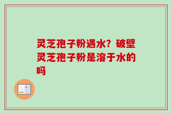 灵芝孢子粉遇水?破壁灵芝孢子粉是溶于水的吗-第1张图片-卓越灵芝孢子粉 灵芝孢子粉遇水?破壁灵芝孢子粉是溶于水的吗-第1张图片-卓越灵芝孢子粉
