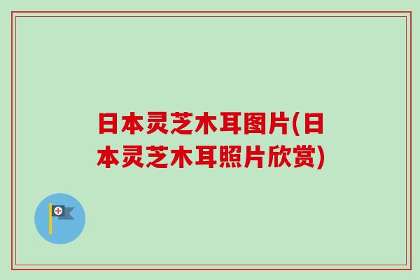 日本灵芝木耳图片(日本灵芝木耳照片欣赏)-第1张图片-卓越灵芝孢子粉 日本灵芝木耳图片(日本灵芝木耳照片欣赏)-第1张图片-卓越灵芝孢子粉