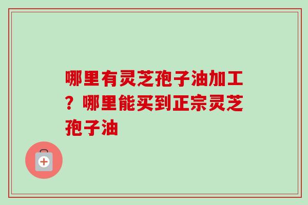 哪里有灵芝孢子油加工？哪里能买到正宗灵芝孢子油-第1张图片-卓越灵芝孢子粉