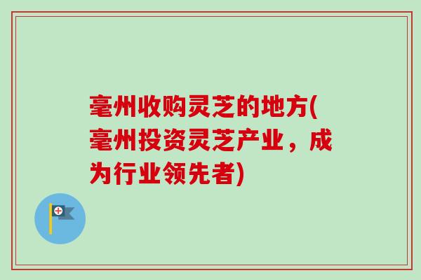毫州收购灵芝的地方(毫州投资灵芝产业,成为行业领先者)-第1张图片-卓越灵芝孢子粉 毫州收购灵芝的地方(毫州投资灵芝产业,成为行业领先者)-第1张图片-卓越灵芝孢子粉