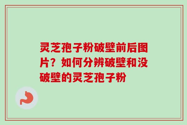 灵芝孢子粉破壁前后图片？如何分辨破壁和没破壁的灵芝孢子粉-第1张图片-卓越灵芝孢子粉