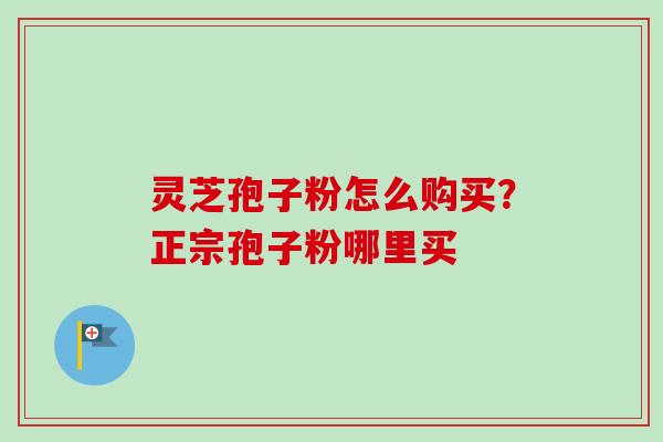 灵芝孢子粉怎么购买?正宗孢子粉哪里买-第1张图片-卓越灵芝孢子粉 灵芝孢子粉怎么购买?正宗孢子粉哪里买-第1张图片-卓越灵芝孢子粉