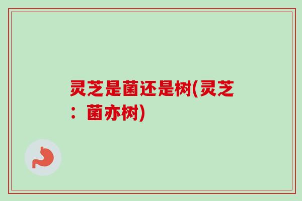 灵芝是菌还是树(灵芝：菌亦树)-第1张图片-卓越灵芝孢子粉