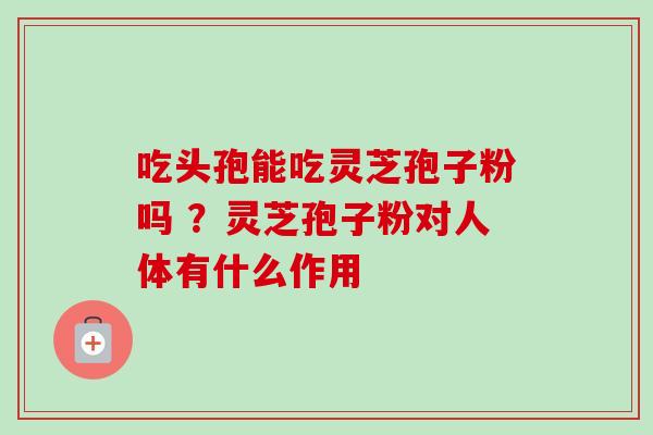 吃头孢能吃灵芝孢子粉吗 ?灵芝孢子粉对人体有什么作用-第1张图片-卓越灵芝孢子粉 吃头孢能吃灵芝孢子粉吗 ?灵芝孢子粉对人体有什么作用-第1张图片-卓越灵芝孢子粉