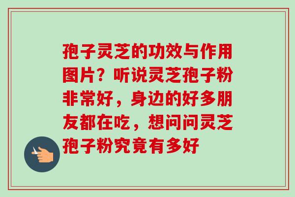 孢子灵芝的功效与作用图片？听说灵芝孢子粉非常好，身边的好多朋友都在吃，想问问灵芝孢子粉究竟有多好-第1张图片-卓越灵芝孢子粉
