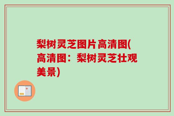 梨树灵芝图片高清图(高清图：梨树灵芝壮观美景)-第1张图片-卓越灵芝孢子粉