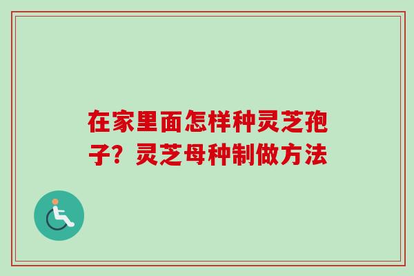 在家里面怎样种灵芝孢子?灵芝母种制做方法-第1张图片-卓越灵芝孢子粉 在家里面怎样种灵芝孢子?灵芝母种制做方法-第1张图片-卓越灵芝孢子粉