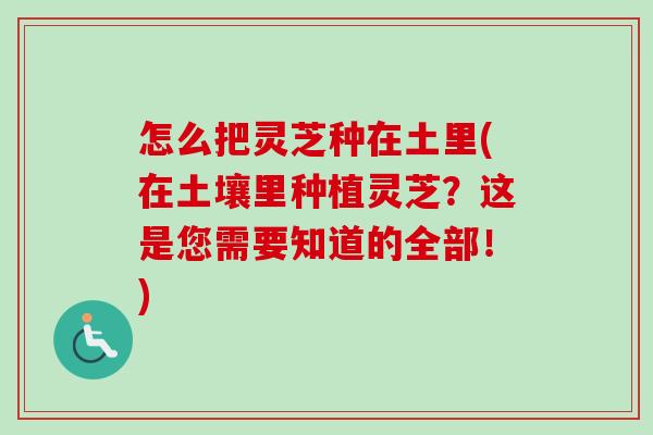 怎么把灵芝种在土里(在土壤里种植灵芝？这是您需要知道的全部！)-第1张图片-卓越灵芝孢子粉