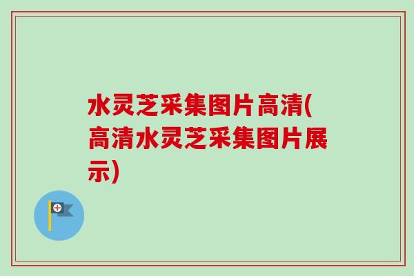 水灵芝采集图片高清(高清水灵芝采集图片展示)-第1张图片-卓越灵芝孢子粉 水灵芝采集图片高清(高清水灵芝采集图片展示)-第1张图片-卓越灵芝孢子粉