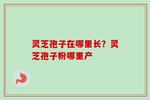 灵芝孢子在哪里长?灵芝孢子粉哪里产-第1张图片-卓越灵芝孢子粉 灵芝孢子在哪里长?灵芝孢子粉哪里产-第1张图片-卓越灵芝孢子粉