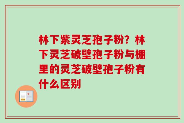 林下紫灵芝孢子粉?林下灵芝破壁孢子粉与棚里的灵芝破壁孢子粉有什么区别-第1张图片-卓越灵芝孢子粉 林下紫灵芝孢子粉?林下灵芝破壁孢子粉与棚里的灵芝破壁孢子粉有什么区别-第1张图片-卓越灵芝孢子粉