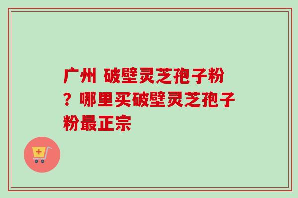 广州 破壁灵芝孢子粉？哪里买破壁灵芝孢子粉最正宗-第1张图片-卓越灵芝孢子粉
