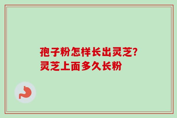 孢子粉怎样长出灵芝?灵芝上面多久长粉-第1张图片-卓越灵芝孢子粉 孢子粉怎样长出灵芝?灵芝上面多久长粉-第1张图片-卓越灵芝孢子粉