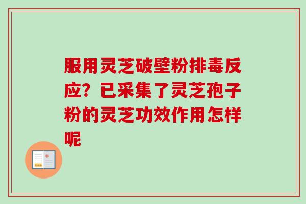 服用灵芝破壁粉排毒反应?已采集了灵芝孢子粉的灵芝功效作用怎样呢-第1张图片-卓越灵芝孢子粉 服用灵芝破壁粉排毒反应?已采集了灵芝孢子粉的灵芝功效作用怎样呢-第1张图片-卓越灵芝孢子粉