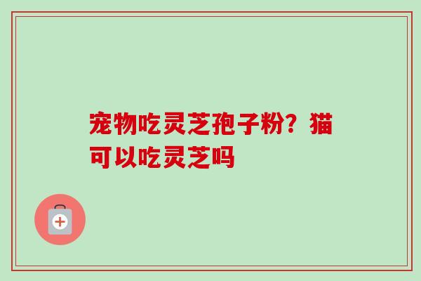 宠物吃灵芝孢子粉?猫可以吃灵芝吗-第1张图片-卓越灵芝孢子粉 宠物吃灵芝孢子粉?猫可以吃灵芝吗-第1张图片-卓越灵芝孢子粉