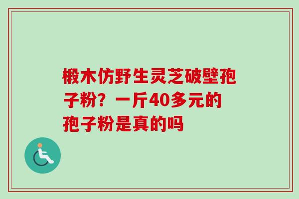 椴木仿野生灵芝破壁孢子粉?一斤40多元的孢子粉是真的吗-第1张图片-卓越灵芝孢子粉 椴木仿野生灵芝破壁孢子粉?一斤40多元的孢子粉是真的吗-第1张图片-卓越灵芝孢子粉