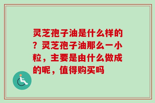 灵芝孢子油是什么样的？灵芝孢子油那么一小粒，主要是由什么做成的呢，值得购买吗-第1张图片-卓越灵芝孢子粉