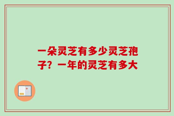 一朵灵芝有多少灵芝孢子？一年的灵芝有多大-第1张图片-卓越灵芝孢子粉