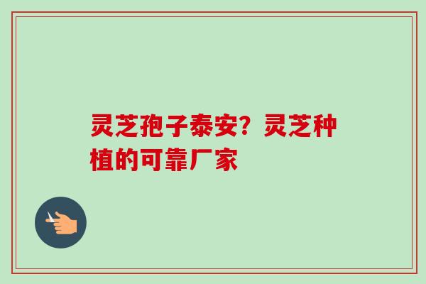 灵芝孢子泰安?灵芝种植的可靠厂家-第1张图片-卓越灵芝孢子粉 灵芝孢子泰安?灵芝种植的可靠厂家-第1张图片-卓越灵芝孢子粉