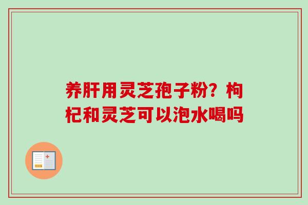 养肝用灵芝孢子粉？枸杞和灵芝可以泡水喝吗-第1张图片-卓越灵芝孢子粉