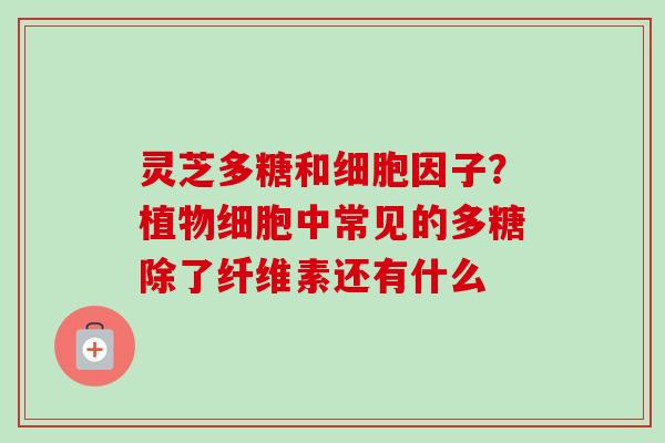 灵芝多糖和细胞因子?植物细胞中常见的多糖除了纤维素还有什么-第1张图片-卓越灵芝孢子粉 灵芝多糖和细胞因子?植物细胞中常见的多糖除了纤维素还有什么-第1张图片-卓越灵芝孢子粉