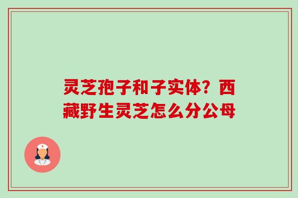 灵芝孢子和子实体？西藏野生灵芝怎么分公母-第1张图片-卓越灵芝孢子粉