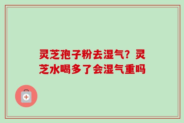 灵芝孢子粉去湿气?灵芝水喝多了会湿气重吗-第1张图片-卓越灵芝孢子粉 灵芝孢子粉去湿气?灵芝水喝多了会湿气重吗-第1张图片-卓越灵芝孢子粉