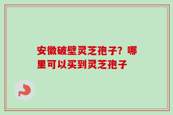 安徽破壁灵芝孢子？哪里可以买到灵芝孢子-第1张图片-卓越灵芝孢子粉