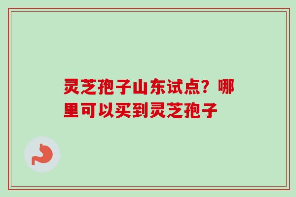 灵芝孢子山东试点？哪里可以买到灵芝孢子-第1张图片-卓越灵芝孢子粉