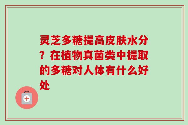 灵芝多糖提高皮肤水分?在植物真菌类中提取的多糖对人体有什么好处-第1张图片-卓越灵芝孢子粉 灵芝多糖提高皮肤水分?在植物真菌类中提取的多糖对人体有什么好处-第1张图片-卓越灵芝孢子粉